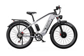 DUOTTS F26 Pro Electric Cargo Bike - PREORDER - ETA NOVEMBER END